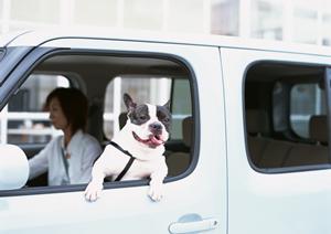 派遣で役員付運転手を探すならこちら